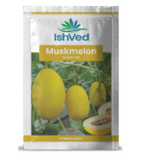 Muskmelon / Kharbooja IVMMH-841 50 grams